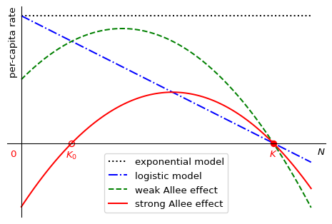 The per-capita growth rate as a function of the population number.
